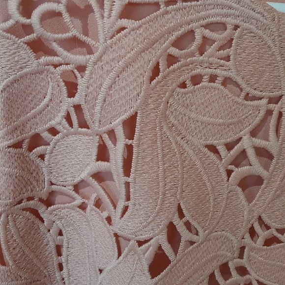 Everning Lace Dress Pink Color by Antonio Melani - Picture 4 of 5